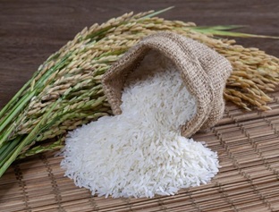 Rice